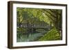 Germany, Rhineland, Dusseldorf, Kšnigsallee-Chris Seba-Framed Premium Photographic Print