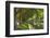 Germany, Rhineland, Dusseldorf, Kšnigsallee-Chris Seba-Framed Photographic Print