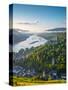 Germany, Rhineland Palatinate, Bacharach and Burg Stahleck (Stahleck Castle), River Rhine-Alan Copson-Stretched Canvas