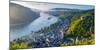 Germany, Rhineland Palatinate, Bacharach and Burg Stahleck (Stahleck Castle), River Rhine-Alan Copson-Mounted Photographic Print