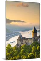 Germany, Rhineland Palatinate, Bacharach, Burg Stahleck (Stahleck Castle), River Rhine-Alan Copson-Mounted Photographic Print