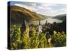 Germany, Rhineland-Palatinate, Bacharach, Church 'St. Peter', Castle 'Stahleck'-Thonig-Stretched Canvas