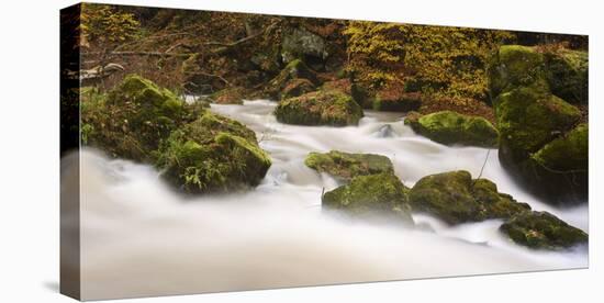 Germany, Rhineland-Palatinate, Eifel, Rapids of the PrŸm with Irrel-Andreas Keil-Stretched Canvas