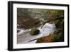 Germany, Rhineland-Palatinate, Eifel, River, Rapids of the PrŸm with Irrel-Andreas Keil-Framed Photographic Print