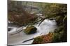 Germany, Rhineland-Palatinate, Eifel, River, Rapids of the PrŸm with Irrel-Andreas Keil-Mounted Photographic Print