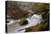 Germany, Rhineland-Palatinate, Eifel, River, Rapids of the PrŸm with Irrel-Andreas Keil-Stretched Canvas