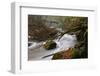 Germany, Rhineland-Palatinate, Eifel, River, Rapids of the PrŸm with Irrel-Andreas Keil-Framed Photographic Print
