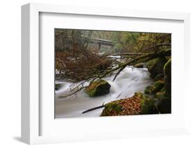 Germany, Rhineland-Palatinate, Eifel, River, Rapids of the PrŸm with Irrel-Andreas Keil-Framed Photographic Print