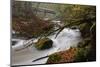 Germany, Rhineland-Palatinate, Eifel, River, Rapids of the PrŸm with Irrel-Andreas Keil-Mounted Photographic Print