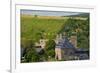 Germany, Rhineland-Palatinate, Middle Rhine Valley, Saint Goar, Rheinfels Castle-Chris Seba-Framed Photographic Print