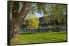 Germany, Rhineland-Palatinate, Moselle Shore, Cycle Track, Bicycle Tourists-Chris Seba-Framed Stretched Canvas