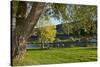 Germany, Rhineland-Palatinate, Moselle Shore, Cycle Track, Bicycle Tourists-Chris Seba-Stretched Canvas