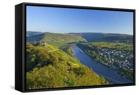 Germany, Rhineland-Palatinate, Moselle Valley, Zell Moselle Oxbow, Puenderich, Barl, Evening Sun-Chris Seba-Framed Stretched Canvas