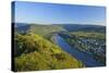 Germany, Rhineland-Palatinate, Moselle Valley, Zell Moselle Oxbow, Puenderich, Barl, Evening Sun-Chris Seba-Stretched Canvas