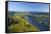 Germany, Rhineland-Palatinate, Moselle Valley, Zell Moselle Oxbow, Puenderich, Barl, Evening Sun-Chris Seba-Framed Stretched Canvas