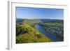 Germany, Rhineland-Palatinate, Moselle Valley, Zell Moselle Oxbow, Puenderich, Barl, Evening Sun-Chris Seba-Framed Photographic Print