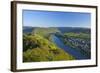 Germany, Rhineland-Palatinate, Moselle Valley, Zell Moselle Oxbow, Puenderich, Barl, Evening Sun-Chris Seba-Framed Photographic Print