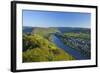 Germany, Rhineland-Palatinate, Moselle Valley, Zell Moselle Oxbow, Puenderich, Barl, Evening Sun-Chris Seba-Framed Photographic Print