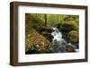 Germany, Rhineland-Palatinate, Palatine Forest, Moosalb, Karlstalschlucht (Gorge) in Autumn-Andreas Keil-Framed Photographic Print