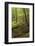 Germany, Rhineland-Palatinate, Palatine Wood, Moosalb, Karlstal Gulch-Andreas Keil-Framed Photographic Print