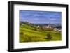 Germany, Rhineland-Palatinate, Rheinhessen Region (Rhine-Hesse), Oppenheim, Vineyards-Udo Siebig-Framed Photographic Print