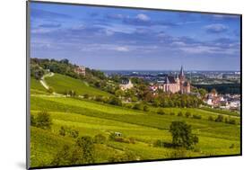 Germany, Rhineland-Palatinate, Rheinhessen Region (Rhine-Hesse), Oppenheim, Vineyards-Udo Siebig-Mounted Photographic Print