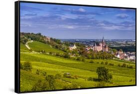 Germany, Rhineland-Palatinate, Rheinhessen Region (Rhine-Hesse), Oppenheim, Vineyards-Udo Siebig-Framed Stretched Canvas