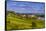 Germany, Rhineland-Palatinate, Rheinhessen Region (Rhine-Hesse), Oppenheim, Vineyards-Udo Siebig-Framed Stretched Canvas