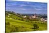 Germany, Rhineland-Palatinate, Rheinhessen Region (Rhine-Hesse), Oppenheim, Vineyards-Udo Siebig-Stretched Canvas