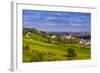 Germany, Rhineland-Palatinate, Rheinhessen Region (Rhine-Hesse), Oppenheim, Vineyards-Udo Siebig-Framed Photographic Print