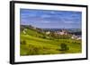 Germany, Rhineland-Palatinate, Rheinhessen Region (Rhine-Hesse), Oppenheim, Vineyards-Udo Siebig-Framed Photographic Print