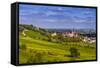 Germany, Rhineland-Palatinate, Rheinhessen Region (Rhine-Hesse), Oppenheim, Vineyards-Udo Siebig-Framed Stretched Canvas