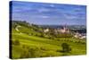 Germany, Rhineland-Palatinate, Rheinhessen Region (Rhine-Hesse), Oppenheim, Vineyards-Udo Siebig-Stretched Canvas