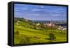 Germany, Rhineland-Palatinate, Rheinhessen Region (Rhine-Hesse), Oppenheim, Vineyards-Udo Siebig-Framed Stretched Canvas