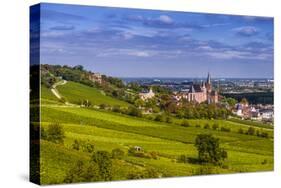 Germany, Rhineland-Palatinate, Rheinhessen Region (Rhine-Hesse), Oppenheim, Vineyards-Udo Siebig-Stretched Canvas