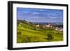 Germany, Rhineland-Palatinate, Rheinhessen Region (Rhine-Hesse), Oppenheim, Vineyards-Udo Siebig-Framed Photographic Print