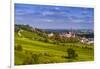 Germany, Rhineland-Palatinate, Rheinhessen Region (Rhine-Hesse), Oppenheim, Vineyards-Udo Siebig-Framed Photographic Print