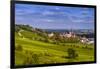 Germany, Rhineland-Palatinate, Rheinhessen Region (Rhine-Hesse), Oppenheim, Vineyards-Udo Siebig-Framed Photographic Print