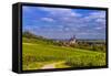 Germany, Rhineland-Palatinate, Rheinhessen Region (Rhine-Hesse), Oppenheim, Vineyards-Udo Siebig-Framed Stretched Canvas