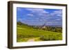 Germany, Rhineland-Palatinate, Rheinhessen Region (Rhine-Hesse), Oppenheim, Vineyards-Udo Siebig-Framed Photographic Print