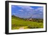 Germany, Rhineland-Palatinate, Rheinhessen Region (Rhine-Hesse), Oppenheim, Vineyards-Udo Siebig-Framed Photographic Print