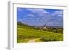 Germany, Rhineland-Palatinate, Rheinhessen Region (Rhine-Hesse), Oppenheim, Vineyards-Udo Siebig-Framed Photographic Print