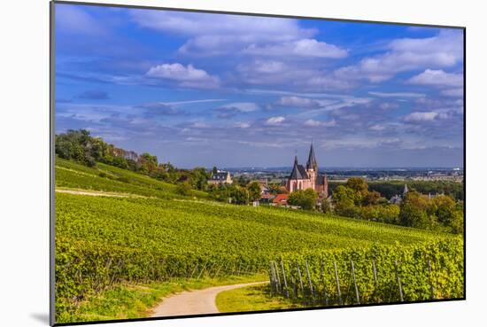 Germany, Rhineland-Palatinate, Rheinhessen Region (Rhine-Hesse), Oppenheim, Vineyards-Udo Siebig-Mounted Photographic Print