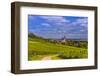 Germany, Rhineland-Palatinate, Rheinhessen Region (Rhine-Hesse), Oppenheim, Vineyards-Udo Siebig-Framed Photographic Print