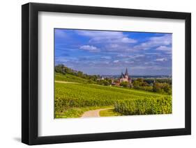 Germany, Rhineland-Palatinate, Rheinhessen Region (Rhine-Hesse), Oppenheim, Vineyards-Udo Siebig-Framed Photographic Print