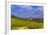 Germany, Rhineland-Palatinate, Rheinhessen Region (Rhine-Hesse), Oppenheim, Vineyards-Udo Siebig-Framed Photographic Print