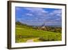 Germany, Rhineland-Palatinate, Rheinhessen Region (Rhine-Hesse), Oppenheim, Vineyards-Udo Siebig-Framed Photographic Print