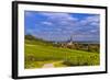 Germany, Rhineland-Palatinate, Rheinhessen Region (Rhine-Hesse), Oppenheim, Vineyards-Udo Siebig-Framed Photographic Print