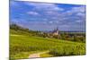 Germany, Rhineland-Palatinate, Rheinhessen Region (Rhine-Hesse), Oppenheim, Vineyards-Udo Siebig-Mounted Photographic Print