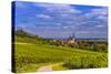 Germany, Rhineland-Palatinate, Rheinhessen Region (Rhine-Hesse), Oppenheim, Vineyards-Udo Siebig-Stretched Canvas